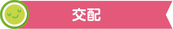 交配