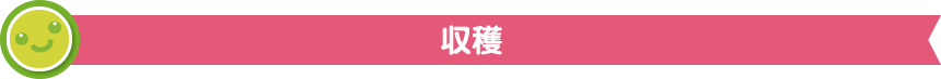 収穫