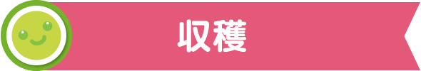 収穫