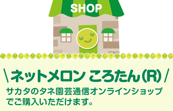 ネットメロン ころたん(R)