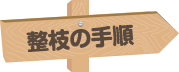 整枝の手順