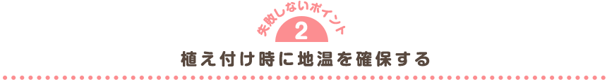 植え付け時に地温を確保する