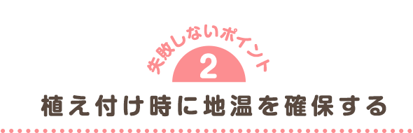 植え付け時に地温を確保する