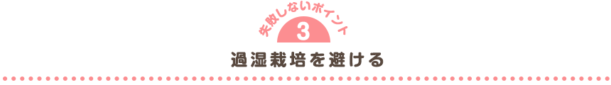 過湿栽培を避ける