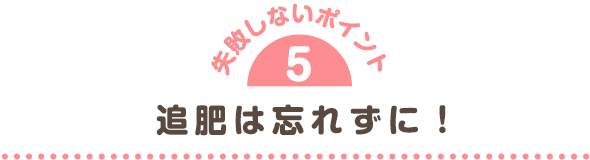 追肥は忘れずに!