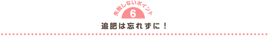 追肥は忘れずに！