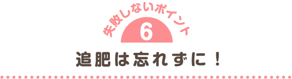 追肥は忘れずに!
