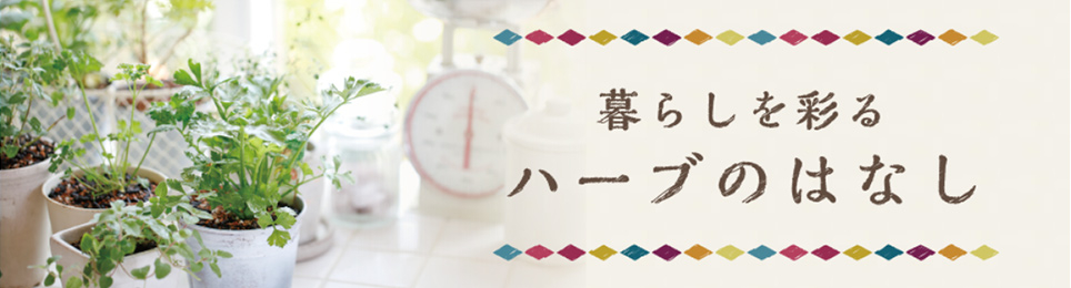 暮らしを彩るハーブのはなし