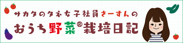 サカタのタネ女子社員 さーすんのおうち野菜栽培日記