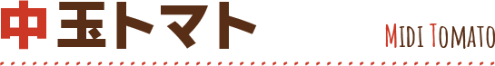 中玉トマト