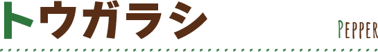 トウガラシ