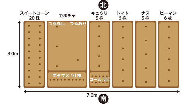 畑の設計図の例。この段階で株間を決めておけば、必要な苗の数も割り出せる。種まき、育苗の目安にもなる