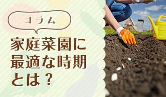 家庭菜園に最適な時期とは？【家庭菜園初心者ガイド／時期編】│コラム 