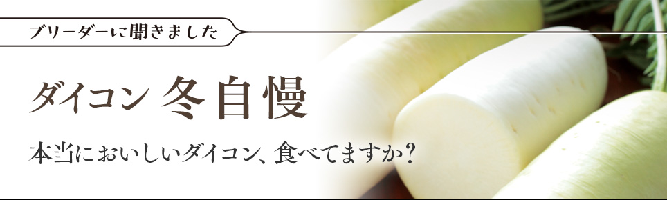 ブリーダーに聞きました ダイコン「冬自慢」 本当においしいダイコン、食べてますか？