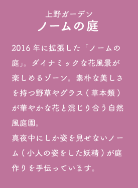 上野ファーム ノームの庭 2016年に拡張した「ノームの庭」。ダイナミックな花風景が楽しめるゾーン。素朴な美しさを持つ野草やグラス(草本類)が華やかな花と混じり合う自然風庭園。真夜中にしか姿を見せないノーム(小人の姿をした妖精)が庭作りを手伝っています。
