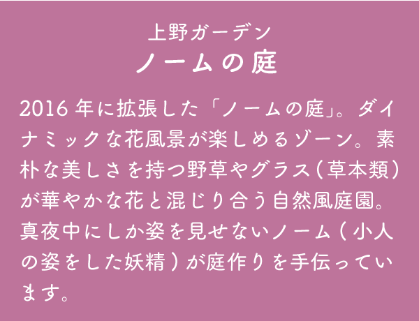 上野ファーム ノームの庭 2016年に拡張した「ノームの庭」。ダイナミックな花風景が楽しめるゾーン。素朴な美しさを持つ野草やグラス(草本類)が華やかな花と混じり合う自然風庭園。真夜中にしか姿を見せないノーム(小人の姿をした妖精)が庭作りを手伝っています。