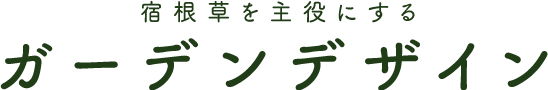宿根草を主役にするガーデンデザイン