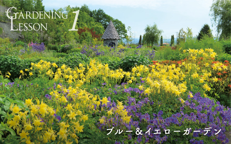 GARDENING LESSON 1 ブルー＆イエローガーデン