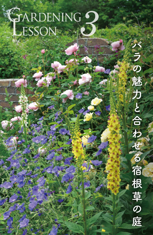 GARDENING LESSON 3 バラの魅力と合わせる宿根草の庭
