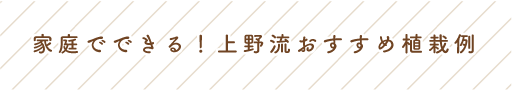 家庭でできる！上野流おすすめ植栽例