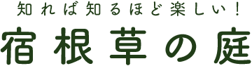 知れば知るほど楽しい！宿根草の庭