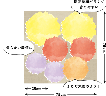サマーガーデン
