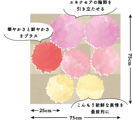 バラの魅力と合わせる宿根草の庭