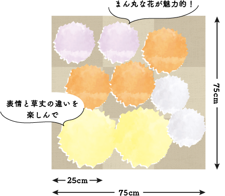 エキナセアを主役に楽しむ庭