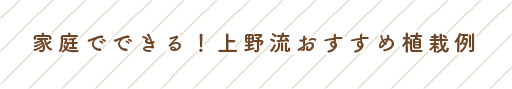 家庭でできる！上野流おすすめ植栽例