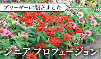 20190419_007835.jpg