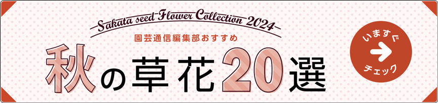 迷ったらコレ！園芸通信編集部おすすめ 秋の草花20選