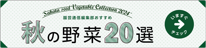 迷ったらコレ！ 園芸通信編集部おすすめ 秋の野菜20選