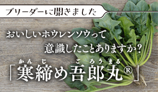 ホウレンソウ「寒締め吾郎丸®」おいしいホウレンソウって意識したこと