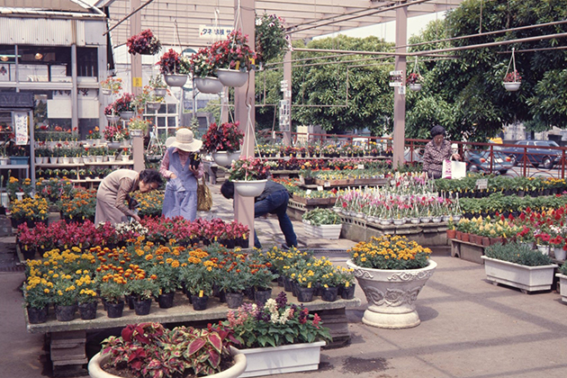 屋外売り場(1979年5月)