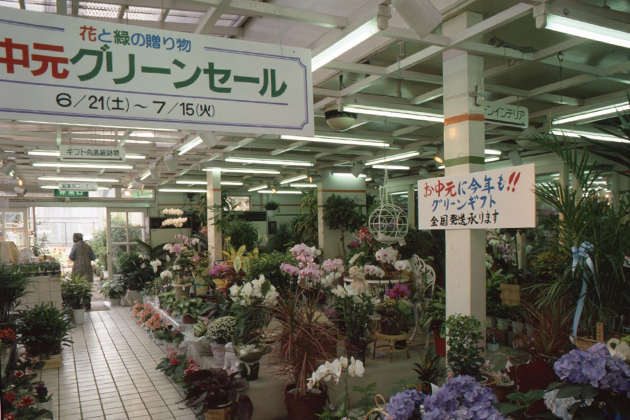 屋内売り場。お中元向けにアジサイや観葉植物のグリーンギフトの対応も。(1986年7月)