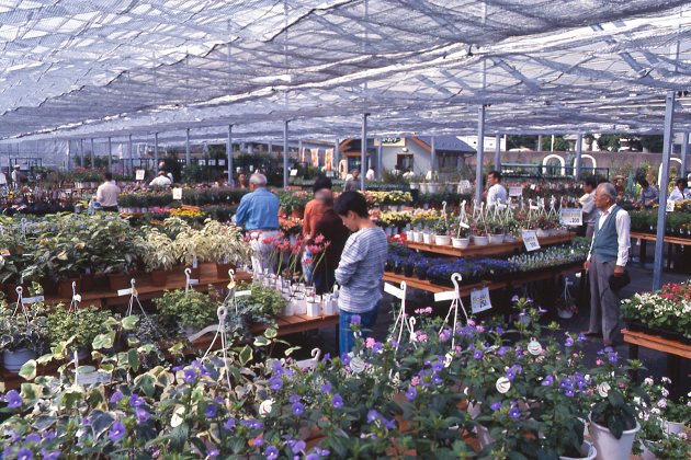 開店当時の売り場(1998年10月)