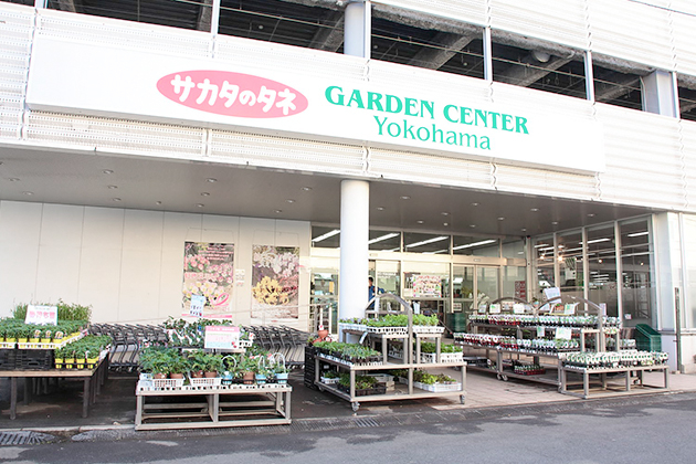 再リニューアル後の本館裏 屋外野菜苗売り場(2013年3月)