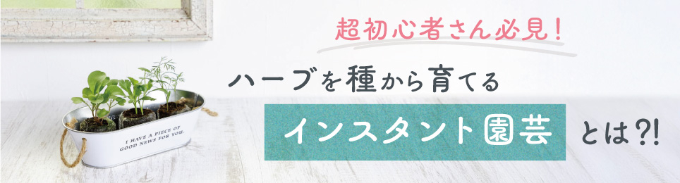 超初心者でもかんたんハーブの種まき！インスタント園芸の始め方