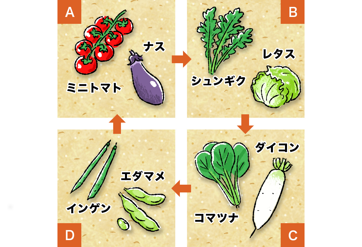 輪作のイメージ