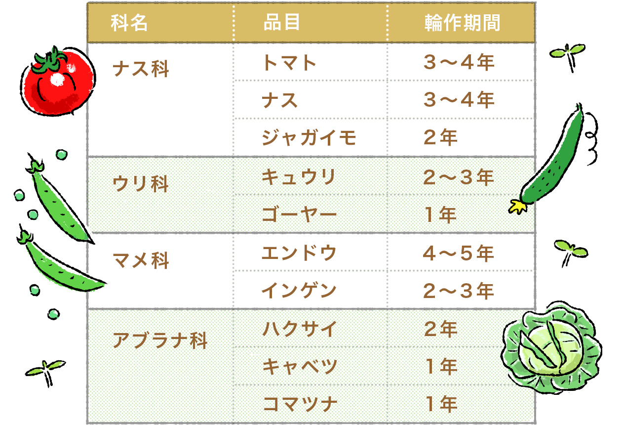 育てる野菜の科ごとの輪作期間を表した表