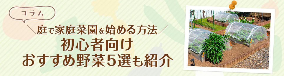 庭で家庭菜園を始める方法！初心者向けおすすめ野菜5選も紹介
