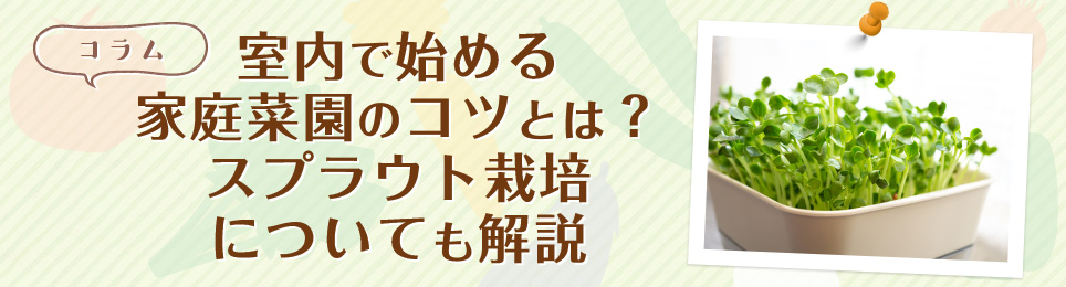 室内で始める家庭菜園のコツとは？スプラウト栽培についても解説