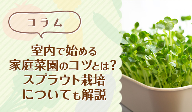 室内で始める家庭菜園のコツとは？スプラウト栽培についても解説