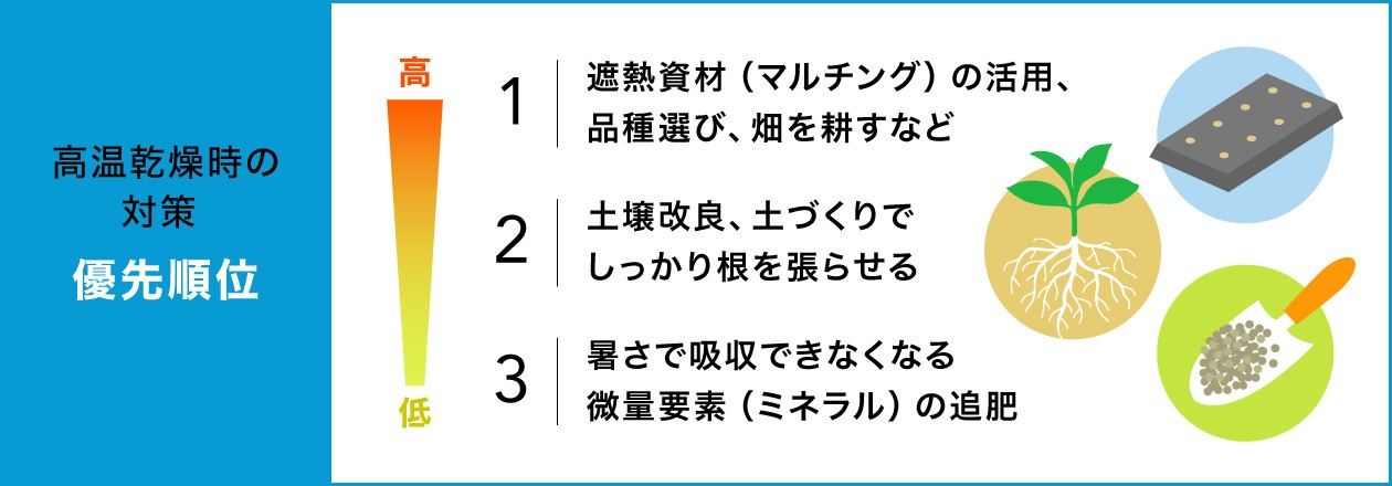 高温乾燥時の対策 優先順位 ①	遮熱資材（マルチング）の活用、品種選び、畑を耕すなど。②	土壌改良、土づくりでしっかり根を張らせる。③暑さで吸収できなくなる微量要素（ミネラル）の追肥。