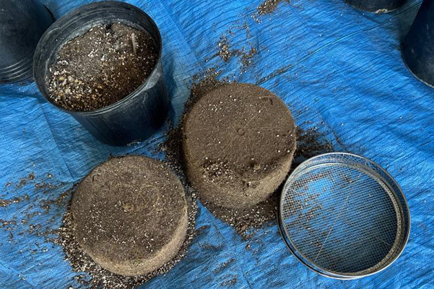 ある程度まで乾かした鉢の土