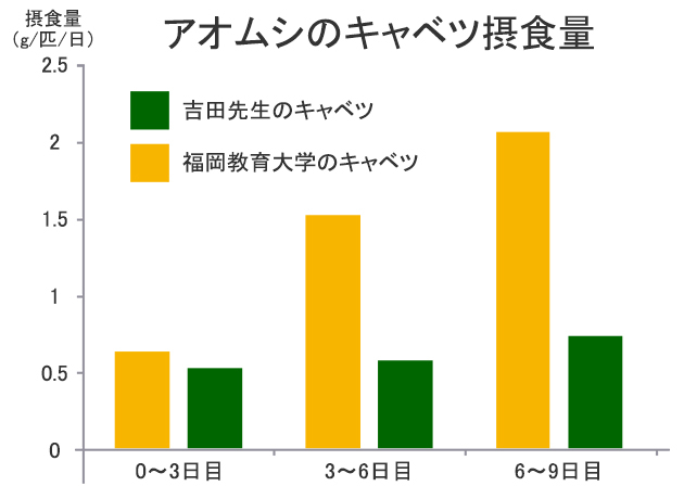 アオムシのキャベツ摂取量を比較したグラフ