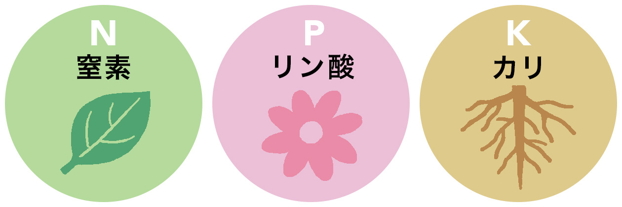 窒素（N）、リン酸（P）、カリ（K）