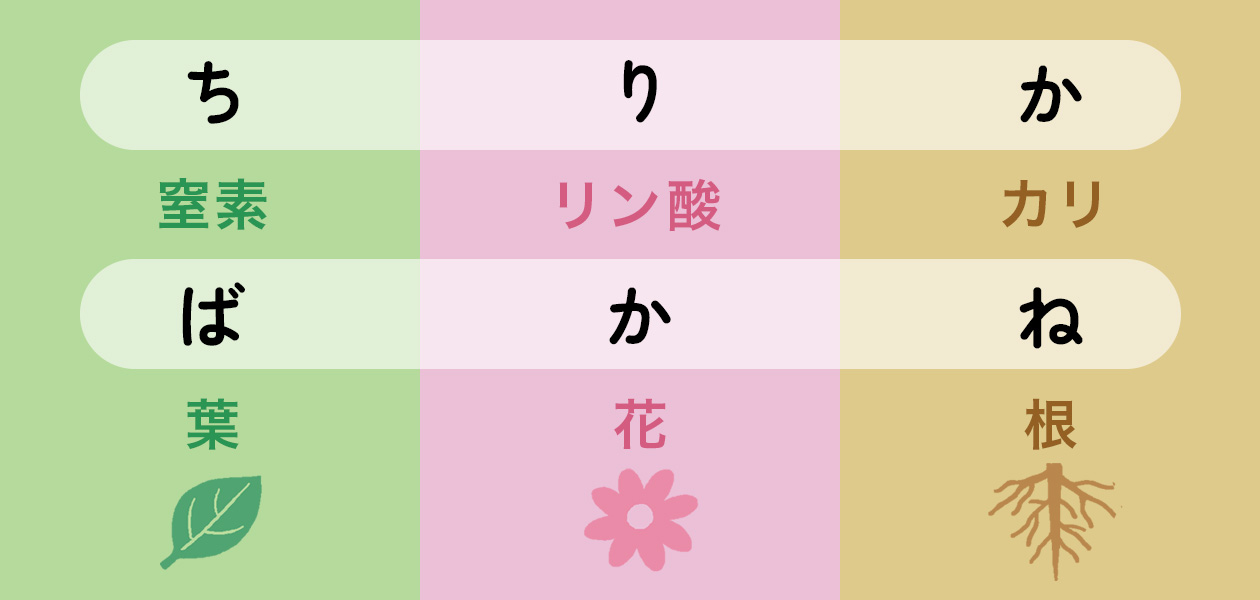 「ち、り、か、ば、か、ね」の覚えかた