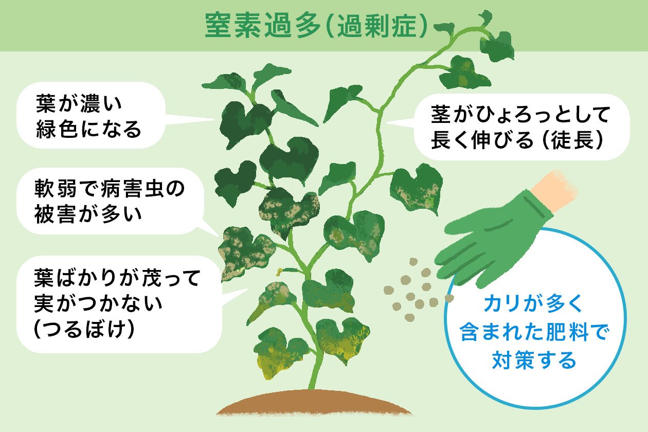 窒素過多(過剰症)による症状と対策