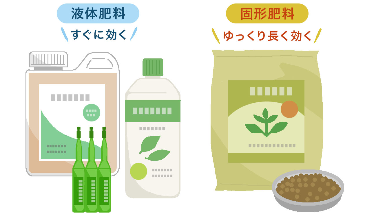 「液体肥料」と「固形肥料」の使い分け